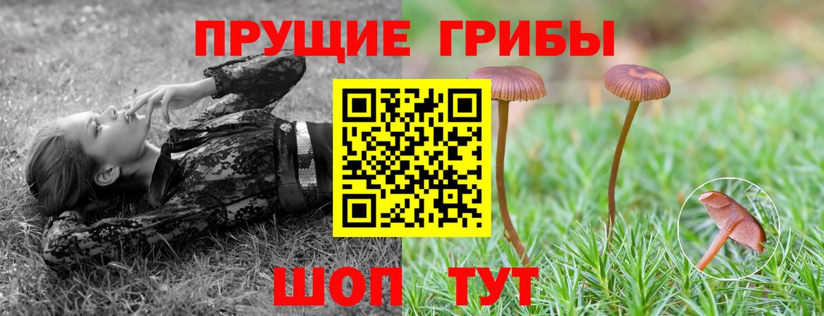 Псилоцибиновые грибы мухоморы Вязьма